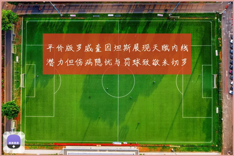 平价版罗威奎因坦斯展现天赋内线潜力但伤病隐忧与罚球致敬米切罗
